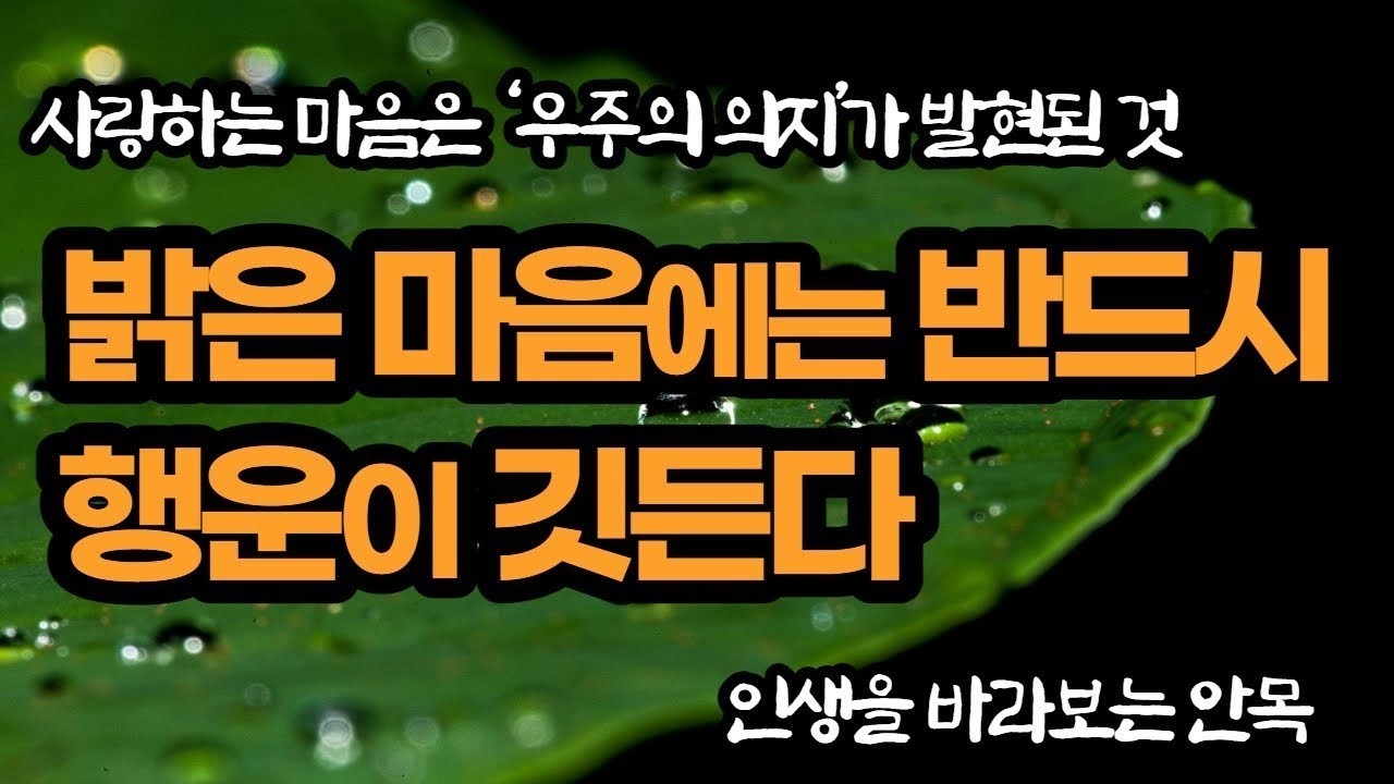 밝은 마음에는 반드시 행운이 깃든다   인생을 바라보는 안목
