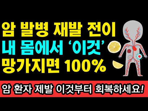 <strong>암</strong> 발병을 막기 위해 반드시 알아야하는 1가지! <strong>암</strong> 재발전이 막으려면 &amp;#39;이것&amp;#39;부터 되돌려야 합니다 I 와타요 다카호 I 암치료 I 아침주스 &amp;amp; 과일 채소 <strong>식이요법</strong>