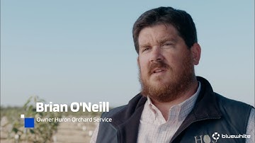 My Bluewhite Story- Brian O