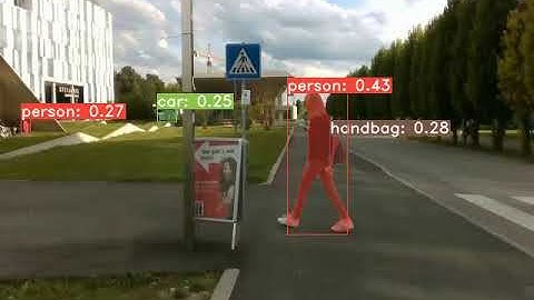 Warp 2D Segmentation with YOLACT