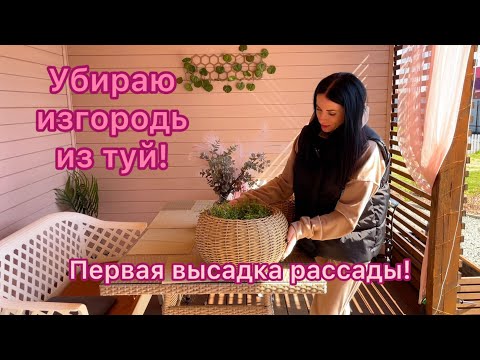 Видео: Садовый ВЛОГ из Сибири! Избавляемся от живой изгороди! Первая высадка рассады в грунт!