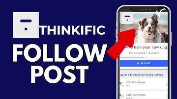 How to Follow Post on Thinkific 2024?