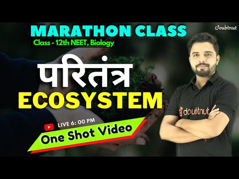 Marathon Class परितंत्र ecosystem | Class 12 | NEET 2022 | Biology | By yogesh sir | Doubtnut