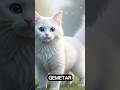 white c, s'kucing polos beringas kadang #catcontent #catlovers #aicat #catstory #fiksi #kucinglucu