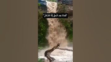 متع سمعك وبصرك #القرآن_الكريم #راحة_نفسية #روائع_التلاوة #الرحمن #اكسبلور #دويتو #duet #لايك