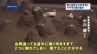 ブルーベリーだけじゃない！　国の指定◯◯を目指す小平市