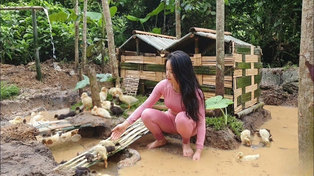 Cómo construir una casa de bambú para patos (2026)