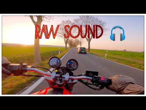 Suzuki Bandit 600 | RAW Sound | Top Speed | Acceleration | GoPro Hero 8 | 2,7k 60fps | Autumn Ride