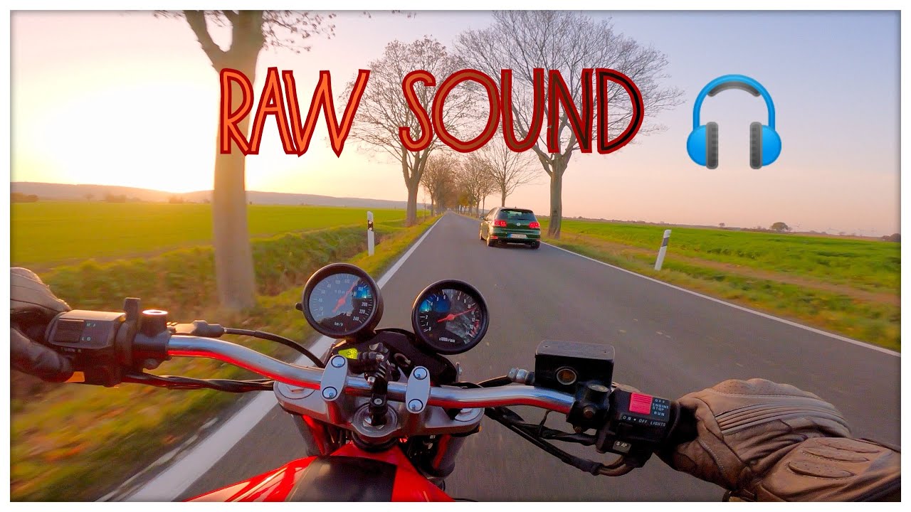 Suzuki Bandit 600 | RAW Sound | Top Speed | Acceleration | GoPro Hero 8 | 2,7k 60fps | Autumn Ride