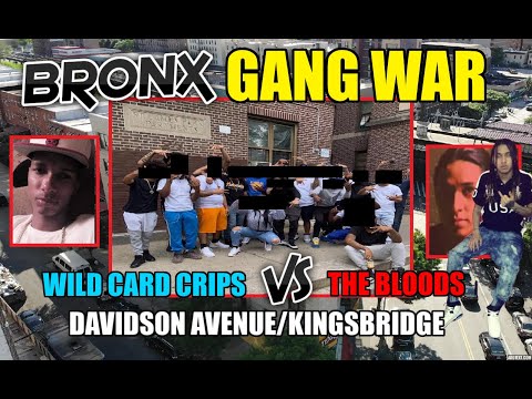 Bronx Gang War - The Wild Card Crips vs The 4z/Blood hound Brims & Umob - Davidson ave/Kingsbridge