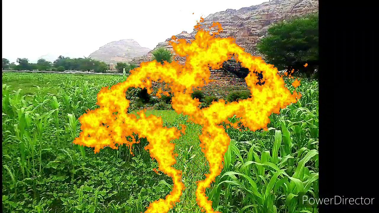 #ايوب_طارش_اغاني_الزراعة