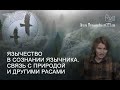 Язычество в сознании язычника. Связь с Природой и другими расами (эльфы, гномы…)