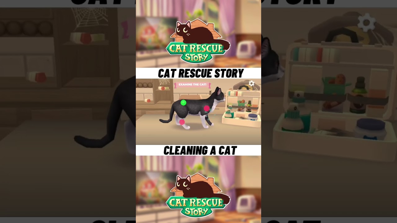 Cleaning a cat in Cat Rescue Story 