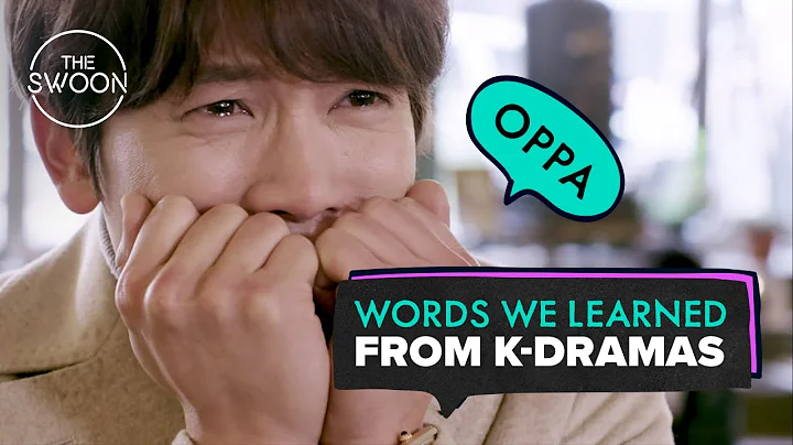 Words we learned from K-dramas [ENG SUB] - DayDayNews