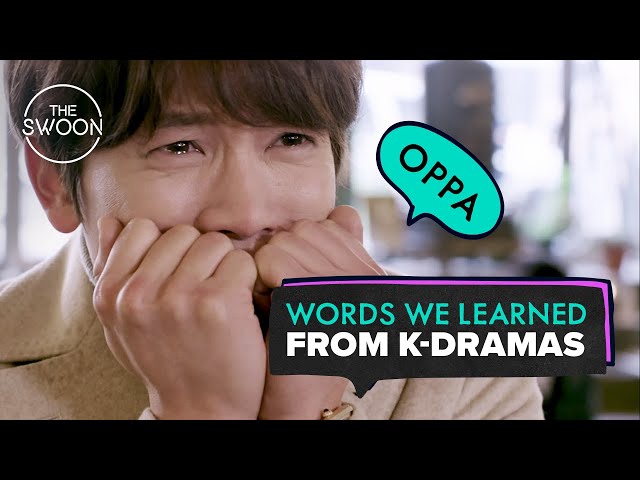 Words we learned from K-dramas [ENG SUB] class=