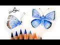 4. Bläuling zeichnen 💙 Schmetterling malen 💧 How to Draw a Butterfly 🦋 как се рисува синя пеперуда