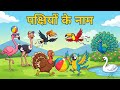 40 पक्षियों के नाम | Birds Names in Hindi and English | Interesting Birds Facts