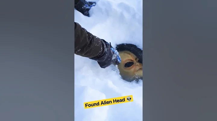 I found the alien's head under the ice! 👽 - DayDayNews