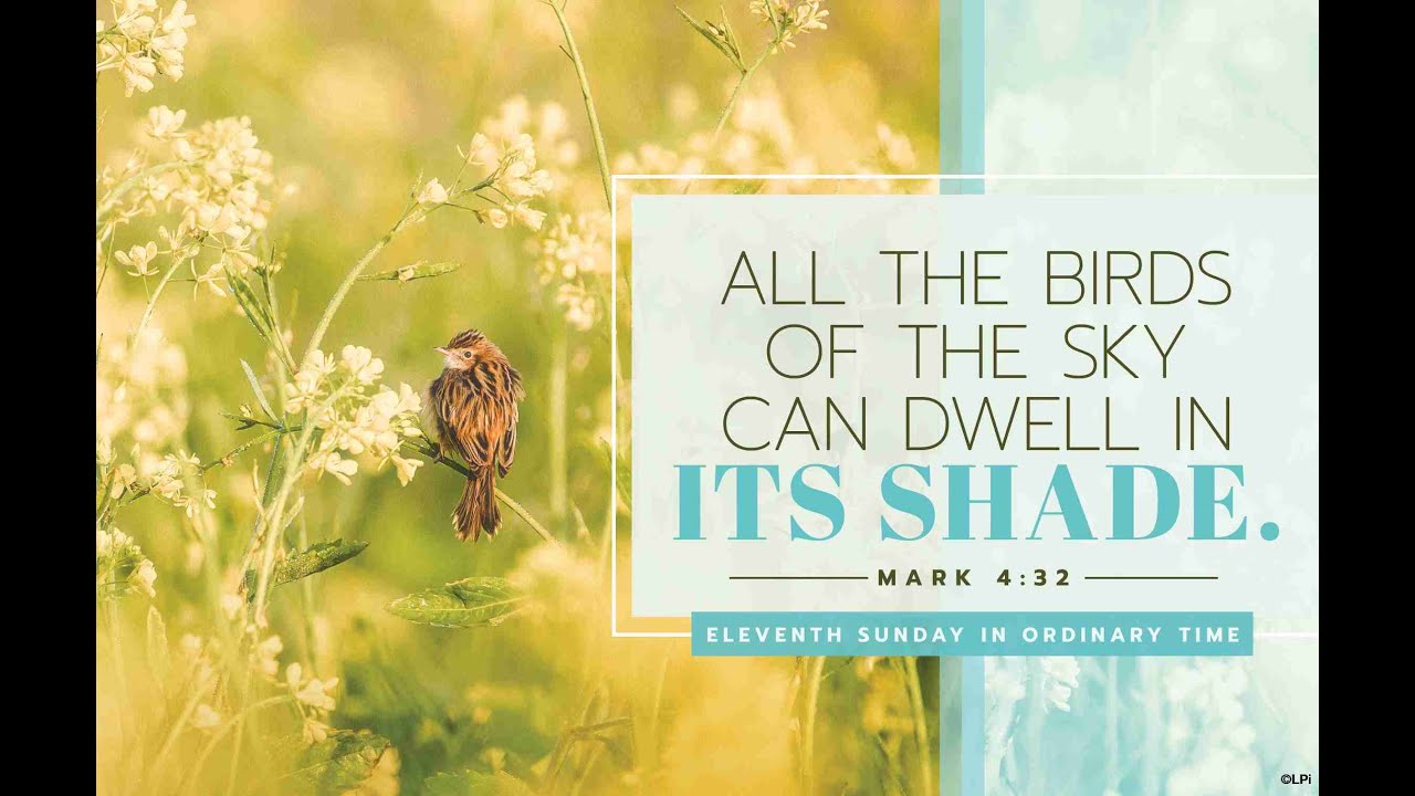 11th Sunday in Ordinary Time - 16 June 2024 - YouTube