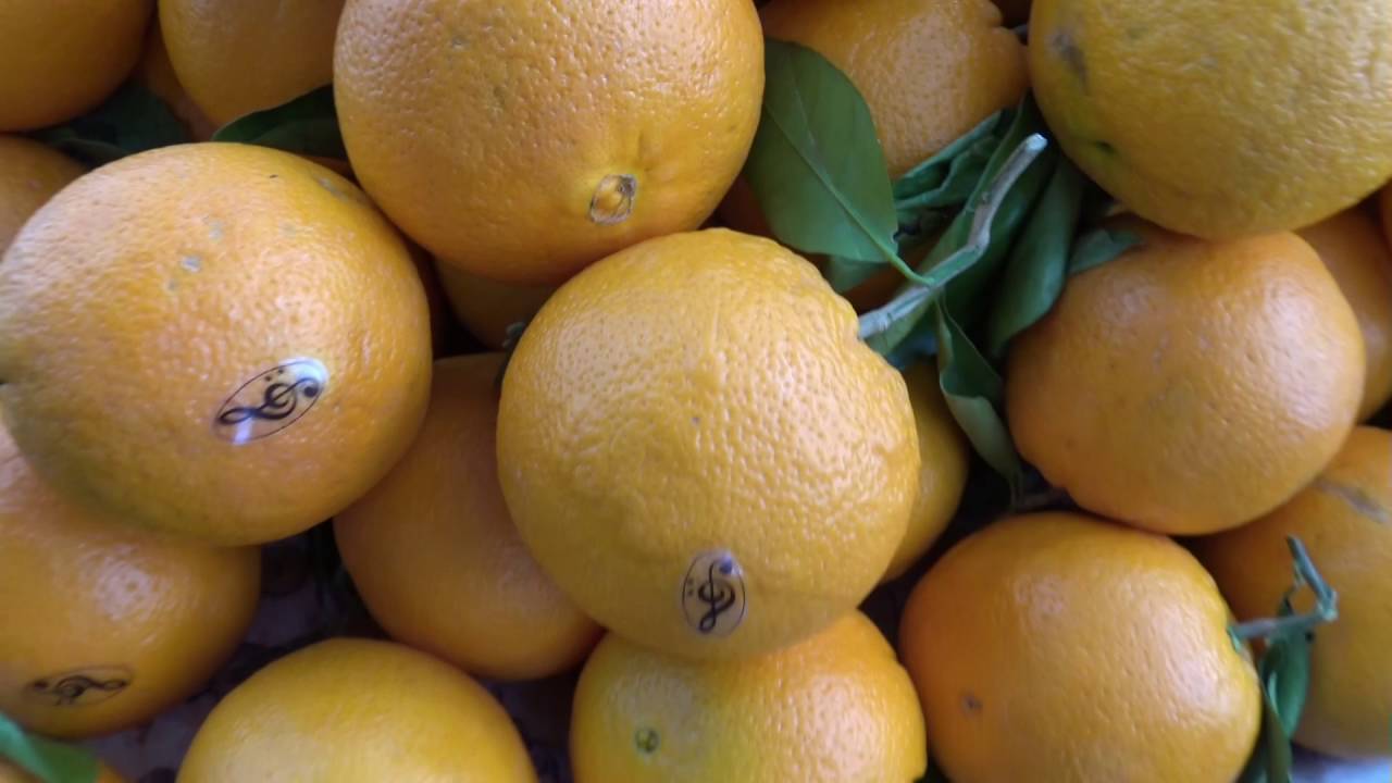 Mein Schiff 4 Tag 5 La Spezia Am 27042016