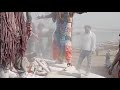 Holi Celebrations at Kasi|| Snippetshots|| Holi Celebrations Firstly Started at Kasi