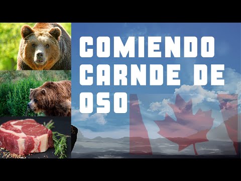 Video: Cómo Cocinar Carne De Oso