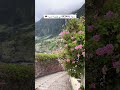 بدا موسم جزيره مديرا هاواي اوروبا 💚 #wheretovisit #madeira #seixal