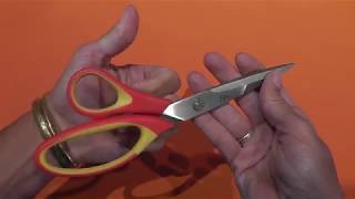 Left-Handed Maped Student Scissors