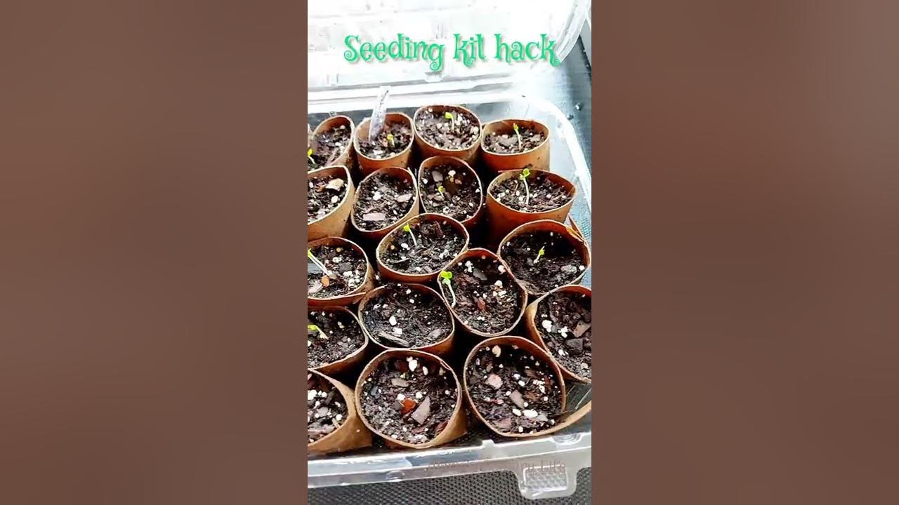 DIY Plastic Plant Tray Holder – Gardening Hack – GrowIt BuildIT