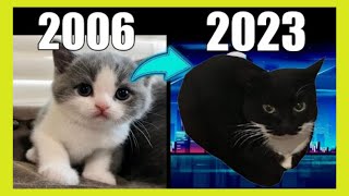 Evolution of Maxwell the Cat Meme 🐱 Part 8