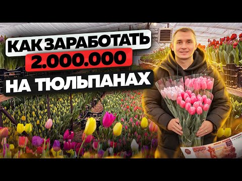 Видео: Выращивание тюльпанов. Цветочный бизнес. Бизнес в деревне