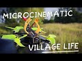 Village life. Microcinematic flow. Darwin Tiny Ape Freestyle x Runcam Thumb Pro V2 x Gyroflow