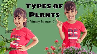 Types of Plants. ( Primary science - 2)