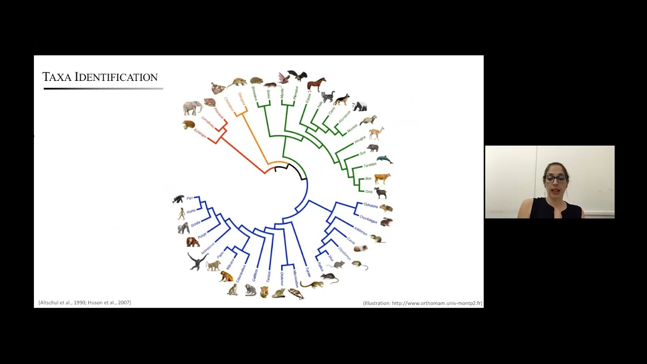 Using ancient DNA in sediments to learn about our past