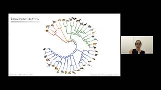 Using ancient DNA in sediments to learn about our past