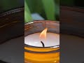 Свеча ароматическая Sharme Essential «Цитронелла»