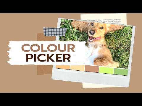 ep98: Color picker เทคนิคเลือกสีเพื่อใช้ในงานออกแบบกราฟิก