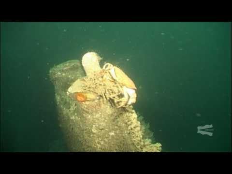 Dive on the German U-Boat UB75