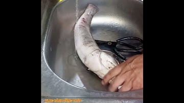 Mẹo Cực Hay Khi Đánh Vảy Cá Siêu Nhanh