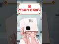 頭どうなってるの?#vtuber #新人vtuber #個人勢vtuber #vtuber準備中 #shorts