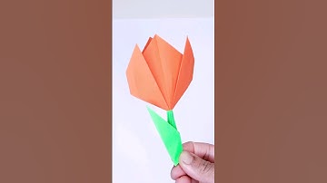 Tulip flower with square paper | paper tulip