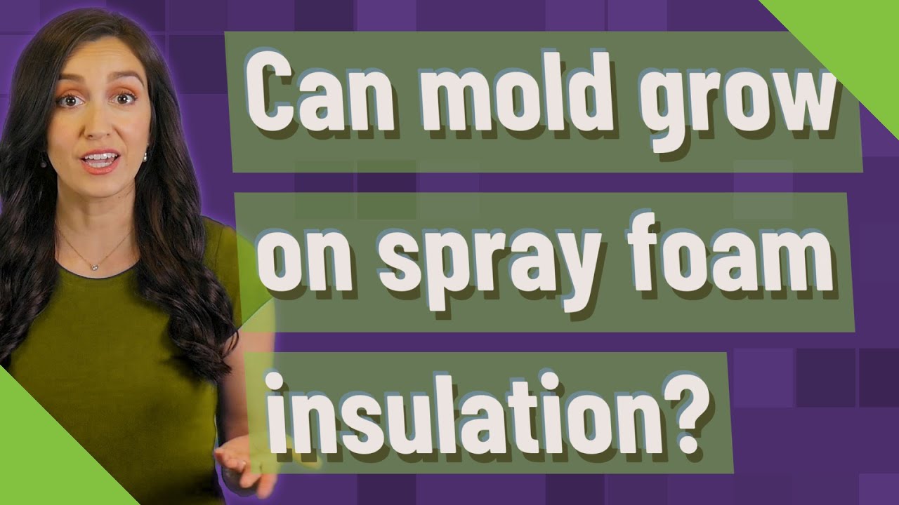 Can mold grow on spray foam insulation? YouTube