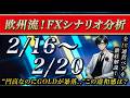 【FX】2/15 来週のシナリオ解説 〜 円高なのにGOLDが暴落.."この違和感"の正体は？〜