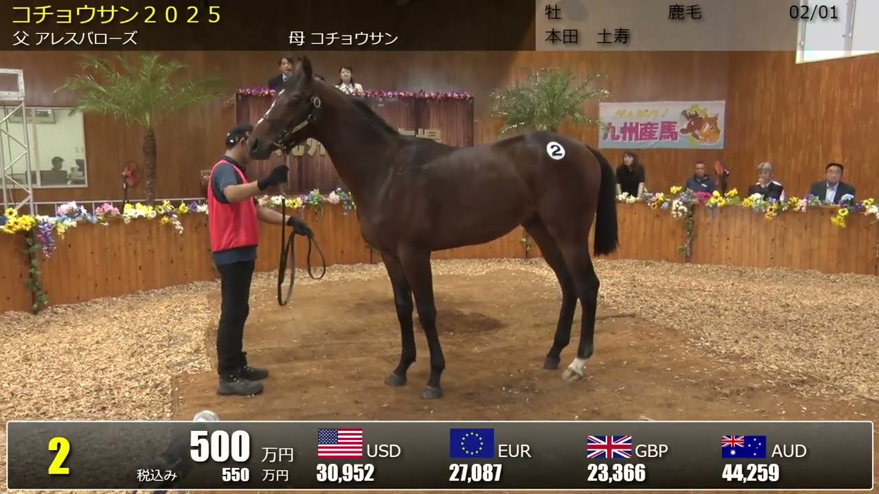 JBISサーチ（JBIS-Search）：国内最大級の競馬情報データベース