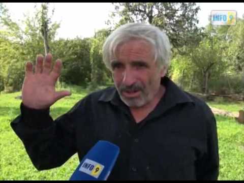 თამუშა ახალაია