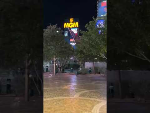 Silverton Casino Hotel - Las Vegas
