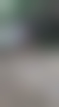 Viral!! Cewek' Kota Kupang Berkelahi Seru Ini!🤣Rebut Pacar🤣# Shorts