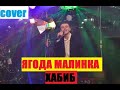 ХАБИБ - ЯГОДА МАЛИНКА (Cover Виталий Шкурацкий)