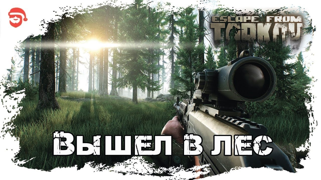 Лес карта тарков бункер диких