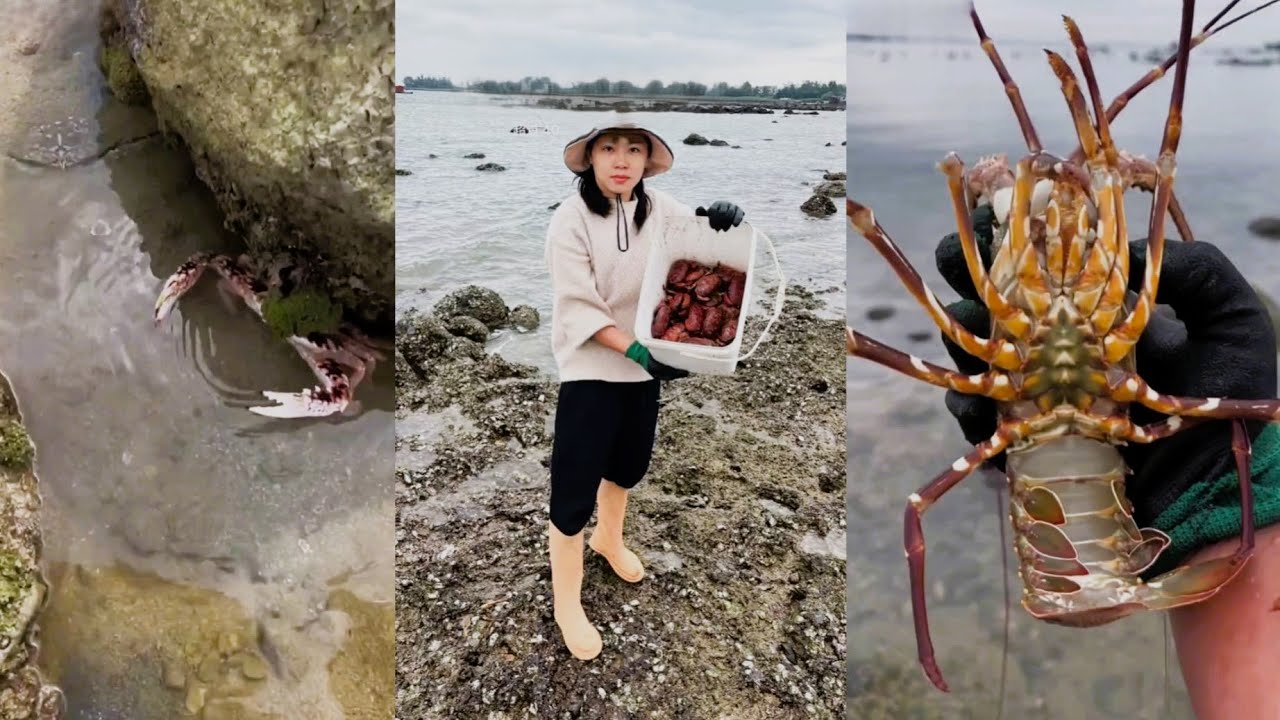 Ловля омаров и крабов на скалистом побережье 